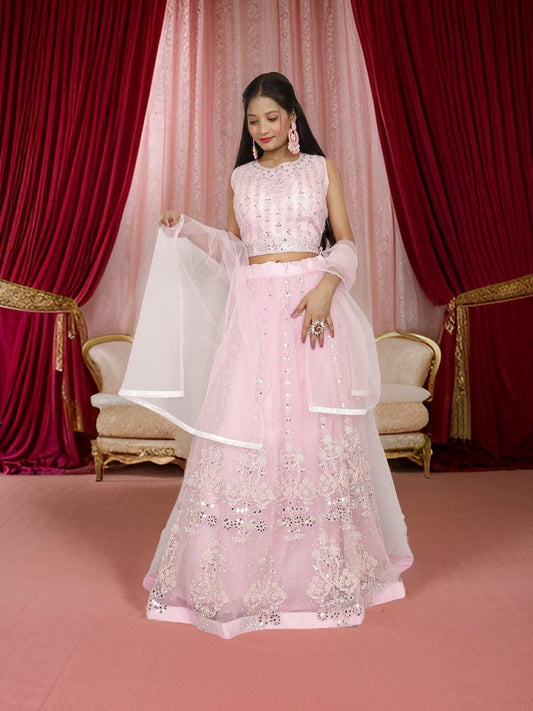 Beautiful mirror and stone work on this pink lehenga set for women by Shreekama-0