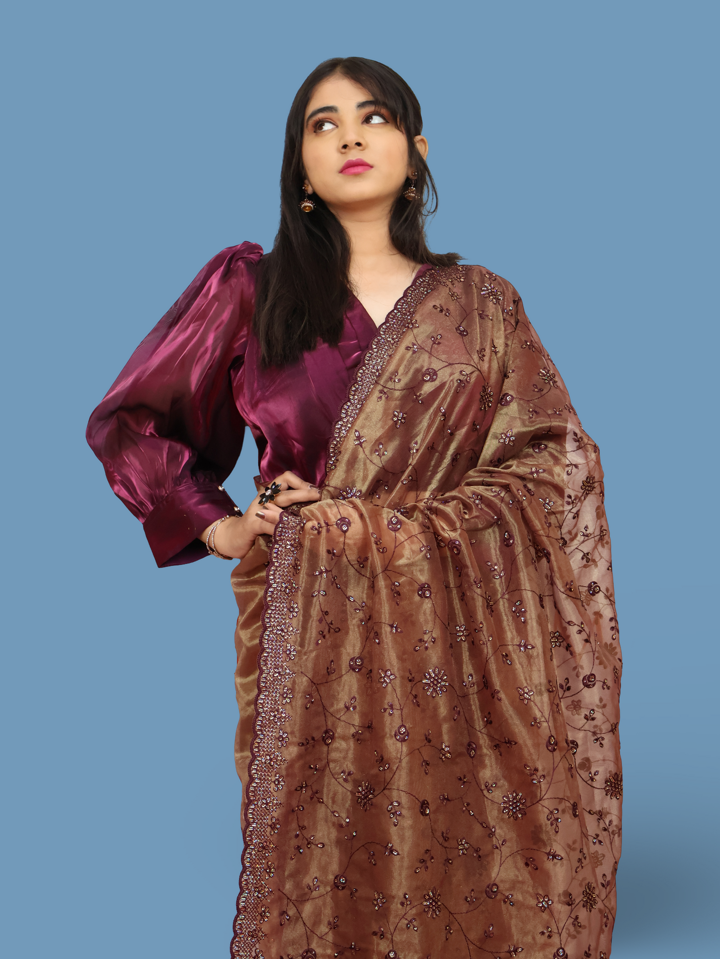 Designer Saree with Embroidery & Heavy Sequin Work by Shreekama-3